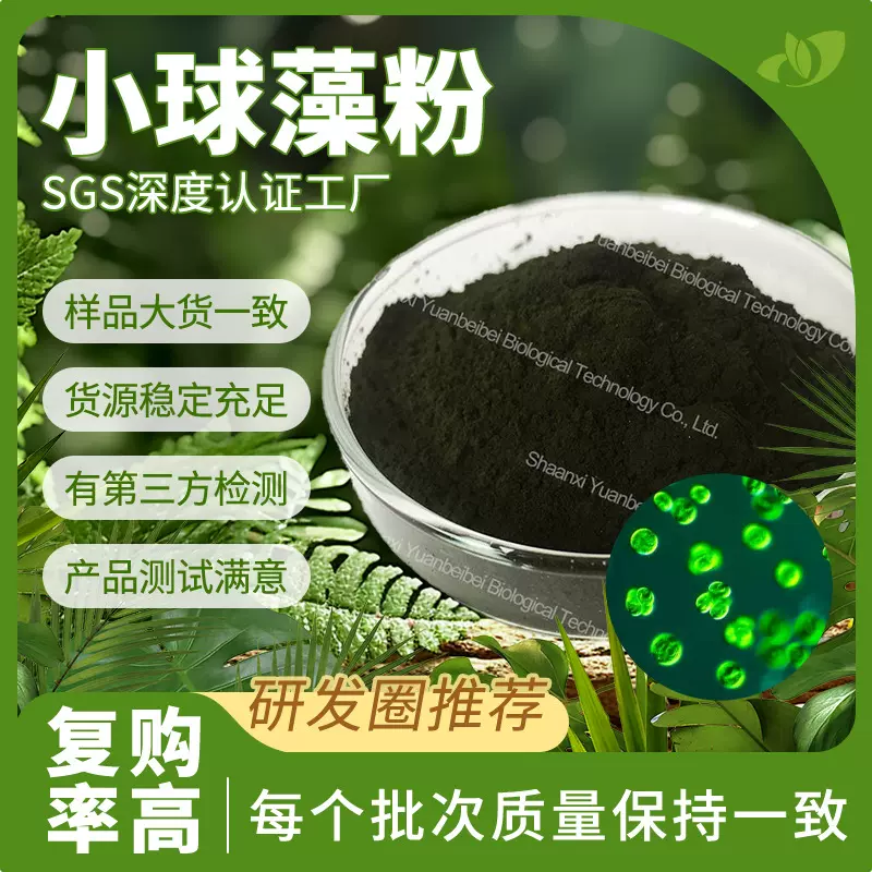 行业精选小球藻粉食品级小球藻提取物现货原料破壁蛋白核小球藻粉