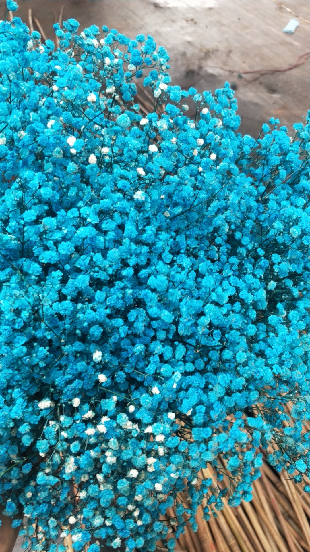 微信图片_20210715182706