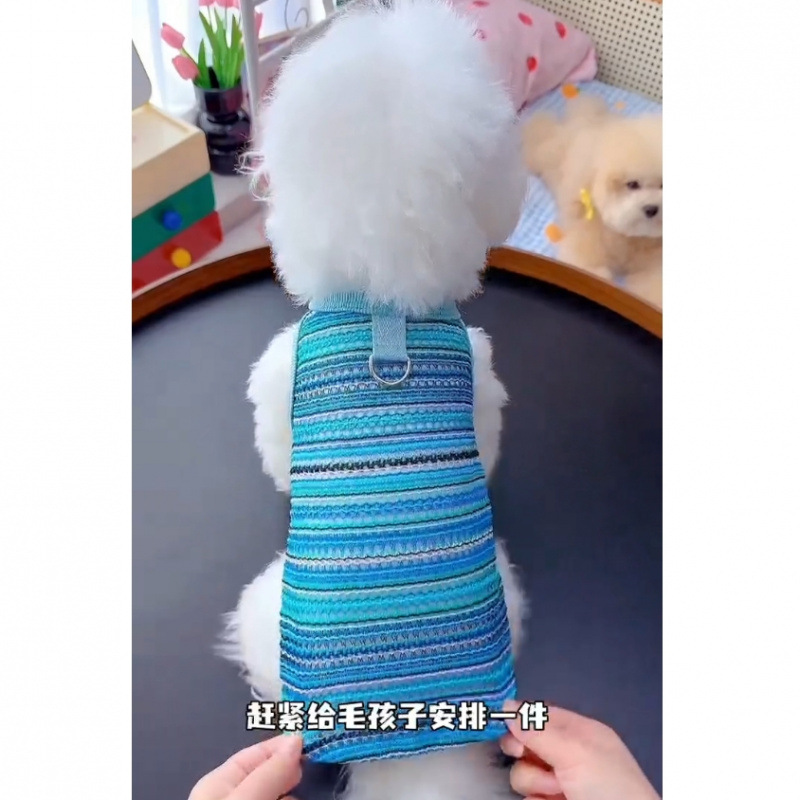 Ropa de perro y gato de verano antipello arco iris transpirable trenzado chaleco hueco Teddy Bear Pomeranian perros pequeños