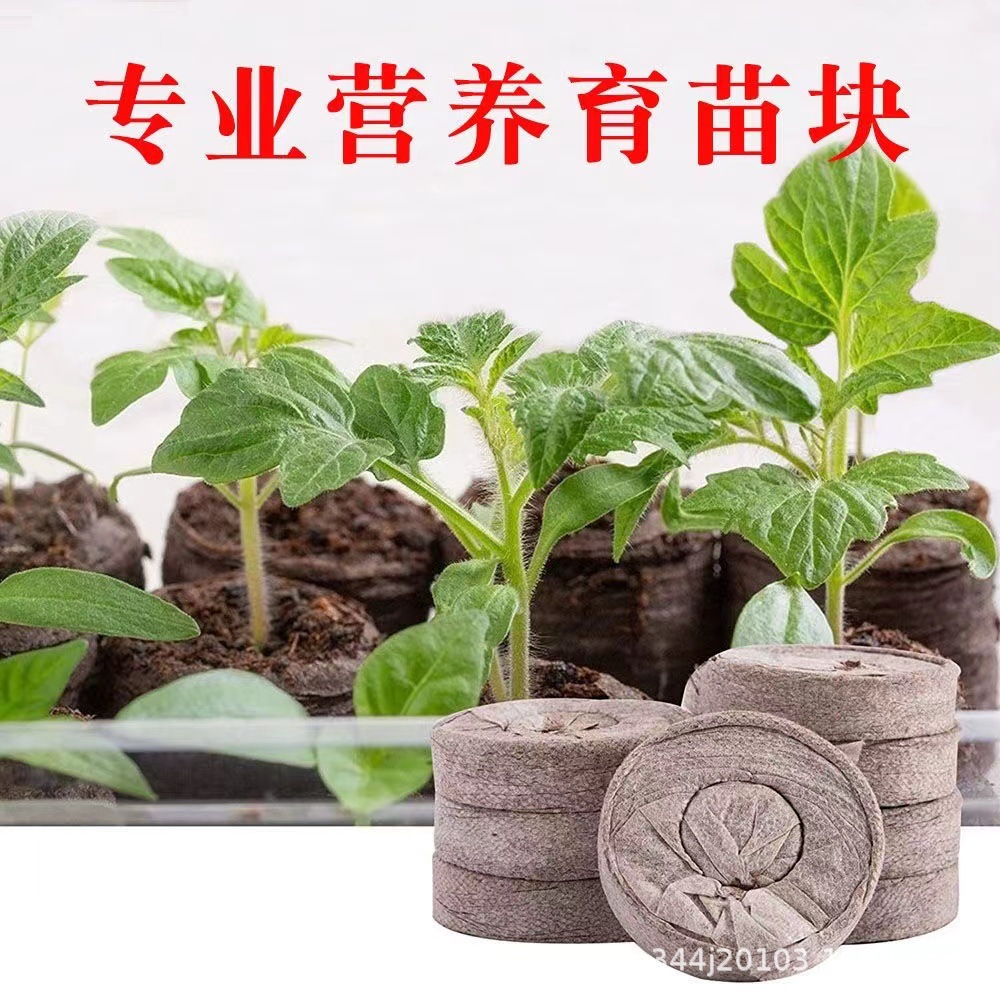 微信��片_20240312012255