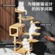 Cat Climbing Frame, Cat Nest, Cat Tree, Integrated Space Capsule Cat Shelf, Small Sisal Cat Claw Board, Toys and Cat Supplies