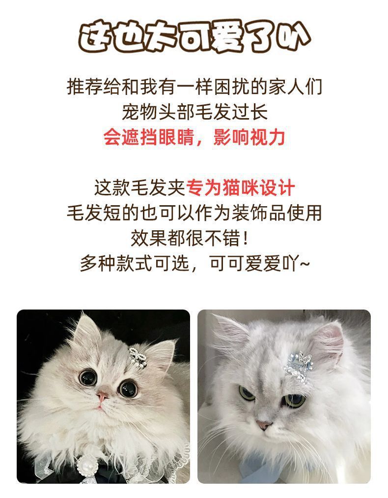 c31dfb2a-f95c-42cf-8111-91f4d09390b3.jpe