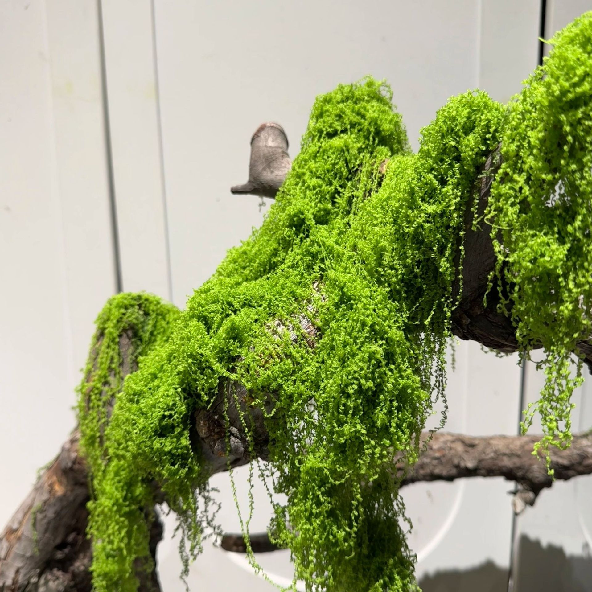 musgo filamento césped artificial musgo musgo diseño paisajístico césped bonsai maceta pavimentación