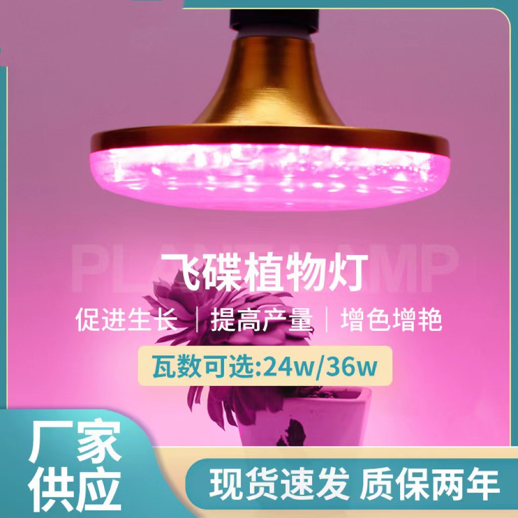 LED plant lamp