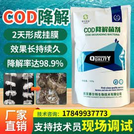 污水处理cod降解剂好氧菌剂高效氨氮复合菌种cod去除剂