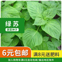 ��G�K���~ʳ����ݷN��ʳ�~ʳ��Ұ������¶���ļ��߲˷N���ݘ�׼