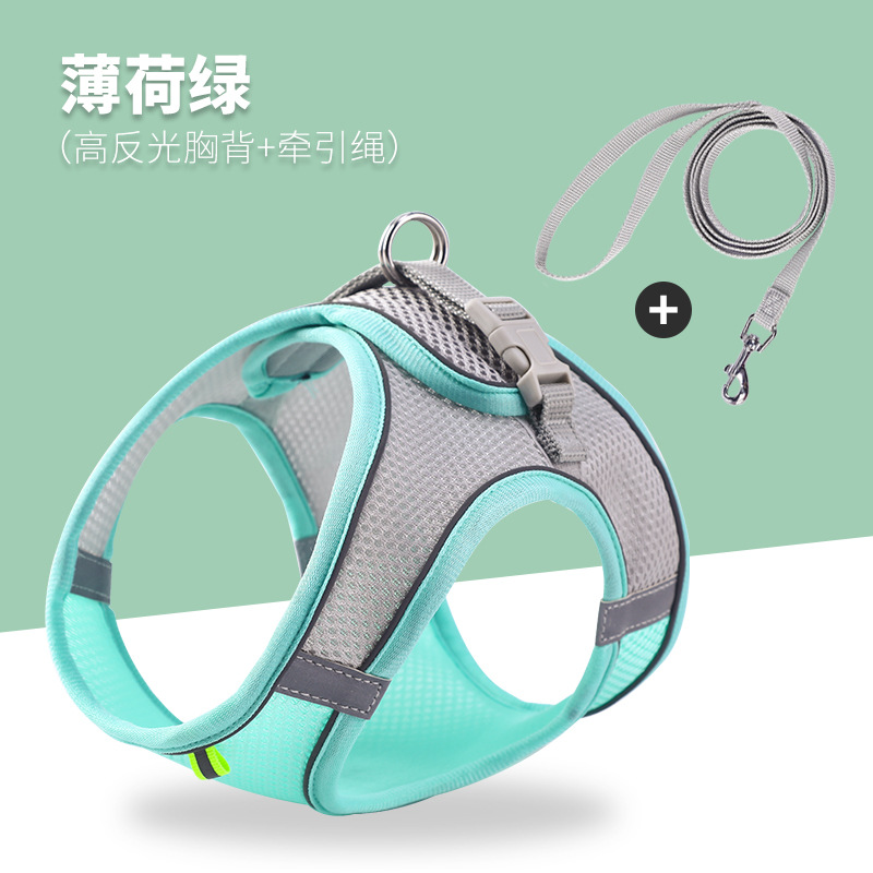 Мятно-зеленый