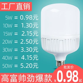 LED球泡灯;其他LED光源;灯头、灯座