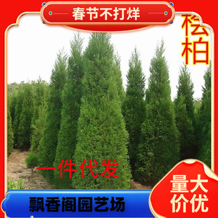 һ�����l���ؘ����ɰ؂Ȱؘ��������������ɉK�ص����������辰