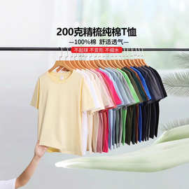 圆领短袖T恤200克纯棉正肩t恤工作服定制团体服亲子装文化衫上衣