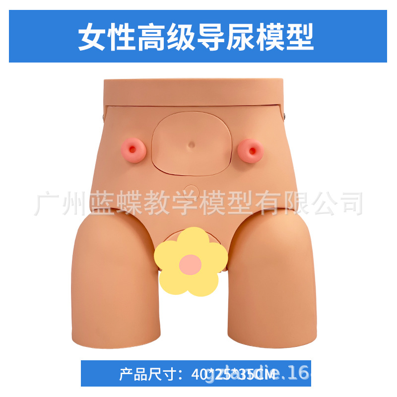 ��Ů��������ֳ�����ʵ���ֱ����ϰģ�ͽ�ѧ��������������ֳϵͳ