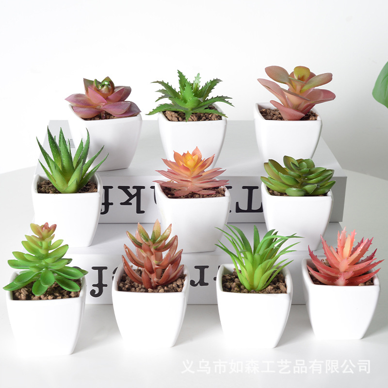 Simulación de plástico carnoso bonsai flor falsa combinación oficina interior escritorio plantas verdes pequeños adornos plantas artificiales al por mayor image 5
