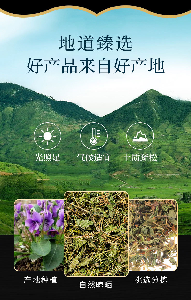 Zi Hua Di Ding (Viola mandshurica) — Dried Food Herb for Tea & Soup, 500g overview