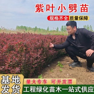 ���̼t�~С�޼t�~��ɫ�^�p��ľ���~С�ޅ�������ɫ�G�h�@�־G����