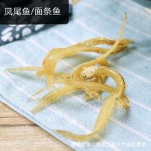 ���l���r��؛С�y�~ ��̖��l�~ �Pβ�~ ��؛250��С�~��