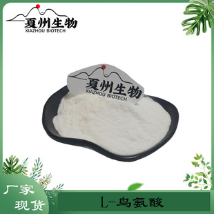 L-�B���� 98%    L-�B�S������    L-�����찱��   Ornithine