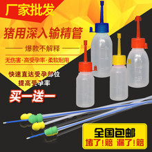 iݔƿһݔƿ˹ĸiݔܛ^FNO