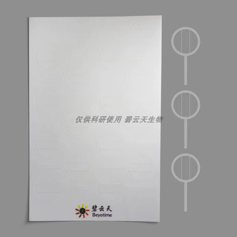 Клеточные царапины мембранные исследования миграции клеток с FAM106 FAM112 FAM124