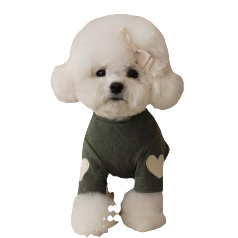 Ropa de mascotas Ropa de perro Ropa de perro Ropa de perro Ventas calientes Ropa de gatos Teddy York Chaubo Virtuoso Otoño Invierno