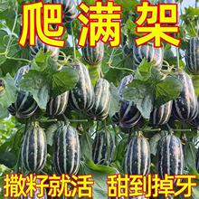 �ļ��N��ϷN�Ӹ߮aͥԺ�̨�������ϷN�ӱ�����ϷN��