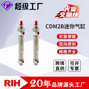 RIH��� CDM2B������ SMC�ͽ��ٚ�� С��΢�͚������Ԫ���S��