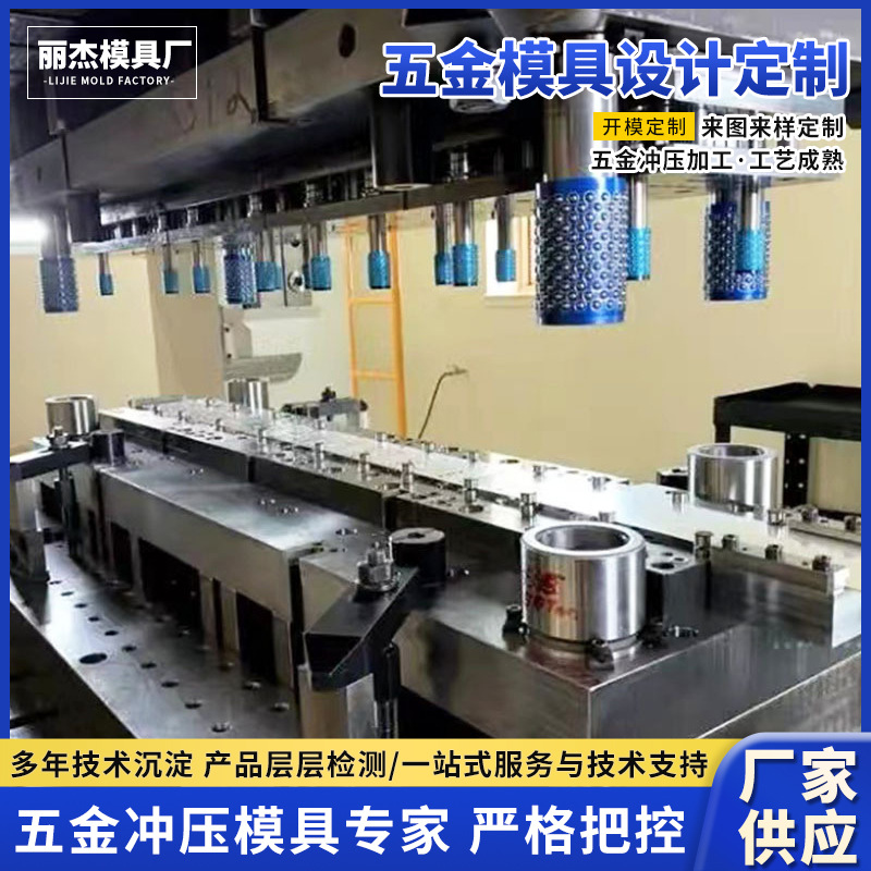 加工精密级进模具设计制造金属精密模具 塑料开关插座模具注塑