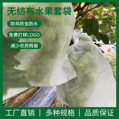 Gold fruit Degradation Apple Pear Citrus currency Bagging Non-woven fabric dustproof Pest control