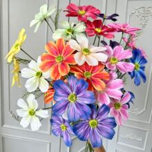 3�^��ɣ����c���滨��Y�û��ŵ��Ų廨��@�L��˹�ռҾ��b�