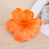 【orange color】