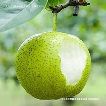 ��ʹ������rˮ������ѩ�殔�����䑪��ˮ���ش����ˮ�ֳ�������