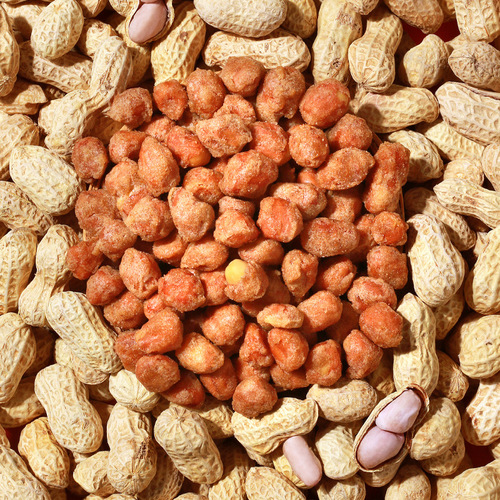Lao Shi Ren Rice Milk Peanuts 308g Canned, Wrapper Peanut Butter Flavor, Leisure Snack, Liquor Pairing, Roasted Peanuts