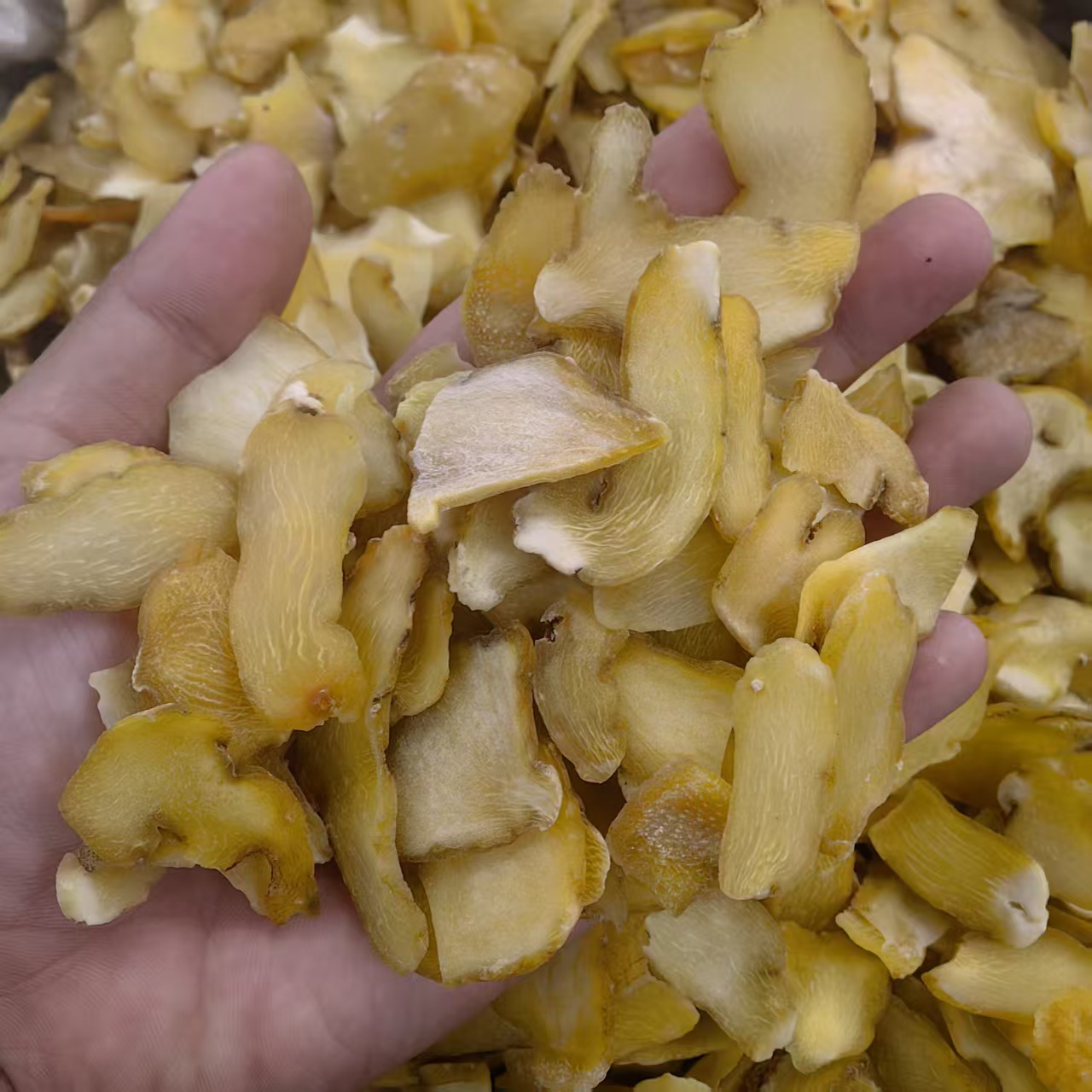 Raw Huang Jing Sliced Polygonatum Rhizome 500g Sun Dried Hunan Origin quality and texture