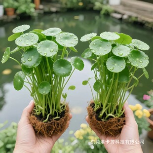 �~�X��ˮ��ˮ�B���X���҃��k�������������ļ�����՚���~