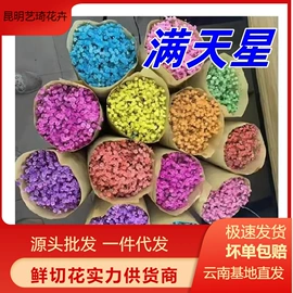 鲜切花