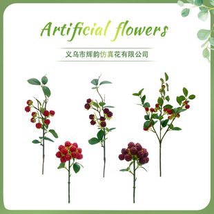 �����ݮ��������ɣ�ؿ羳�ҾӲ����[���zӰ�����}�Q���{����ݮ��