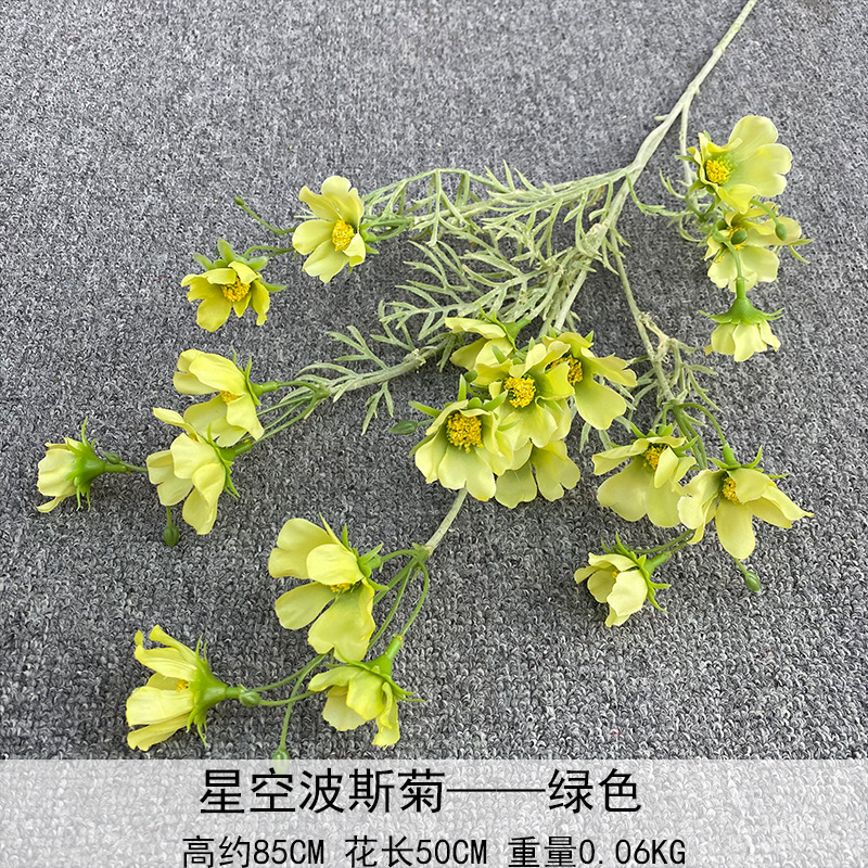 Cosmos verde estrellado