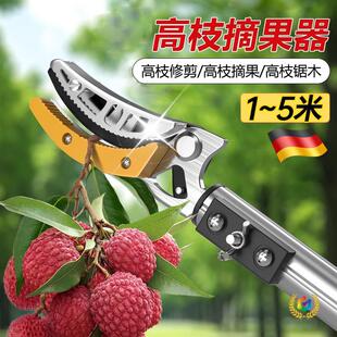 ժˮ����s�U��ժ��֦���˗�÷�������֦���߿�֦������