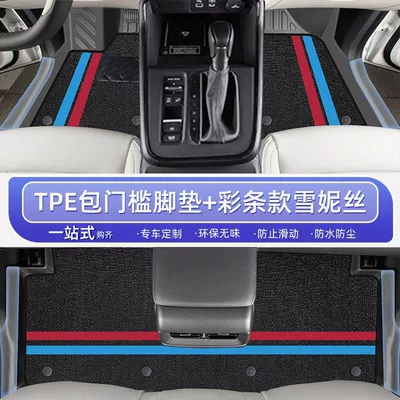 star upper interior, Ayaqaltılar (Kovriklər) - 25-23-hybrid-models-honda-crv-double-layer-color-strips-door-sill-mats-snowy-carpet