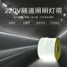 LED灯带220v户外地下室隧道工地亮化露营装饰照明白光灯条