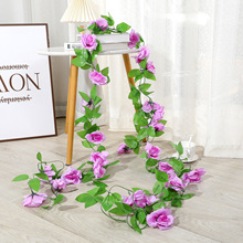 ӹƿٗlٻ 9^õ{ܵړp@͏db