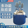 Ronda multi-function stir Reactor Electric heating Stainless steel Reactor Latex paint liquid Chemical industry Reactor