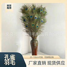 现货供应25-130cm天然孔雀毛翎尾 孔雀羽毛 婚庆DIY羽毛批发