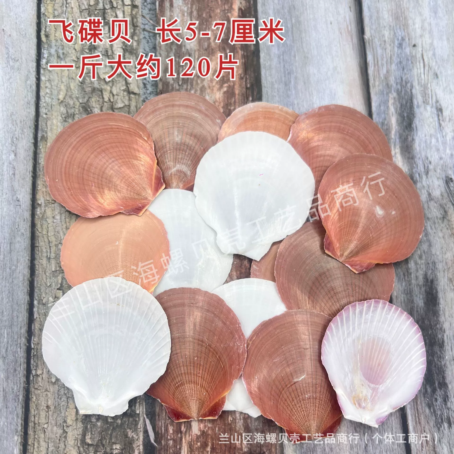 Shell Natural Shell Conch Stars Drifting Bottle Shell Crafts Wholesale Diy Handmade Shell Materials