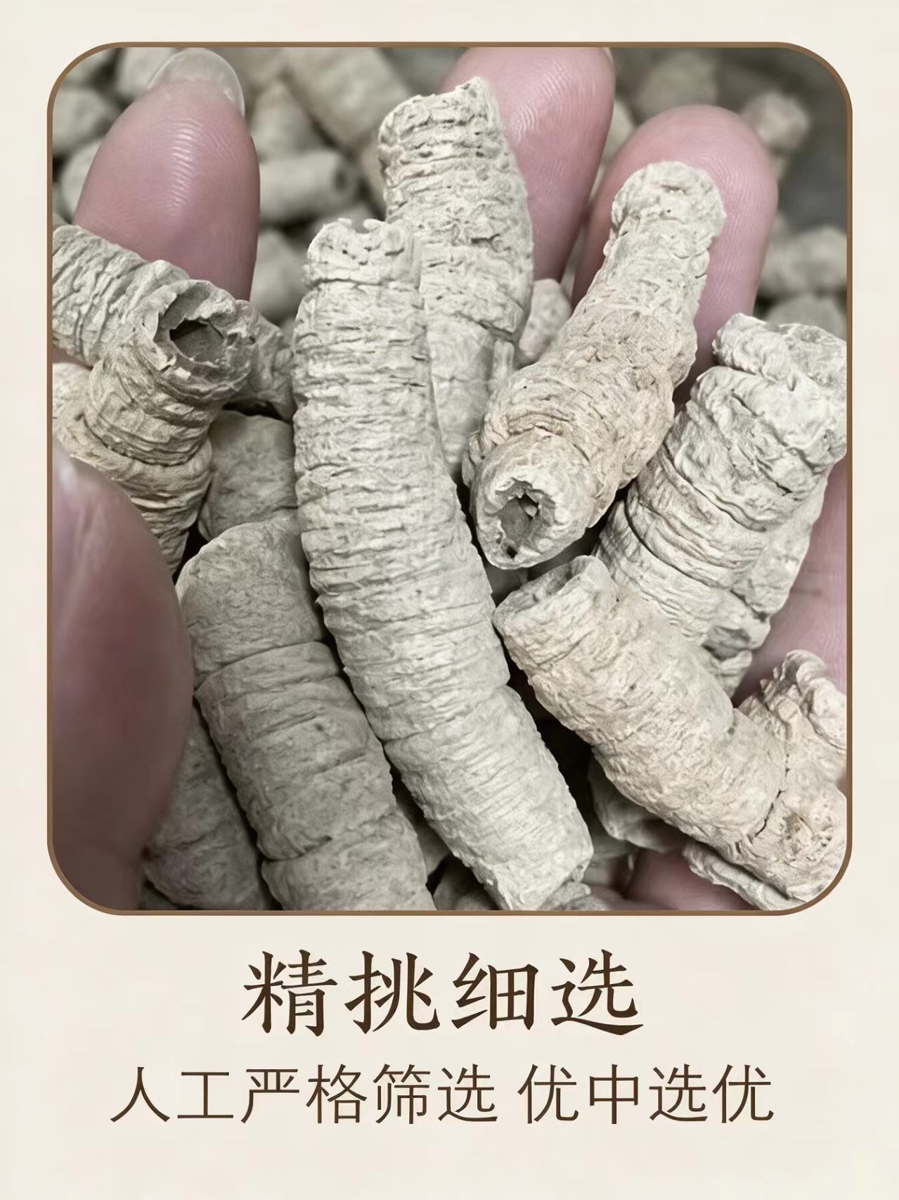 Dried Morinda Root Ba Ji Tian 1000g Whole Root Slices for Decoction and Herbal Wine key features