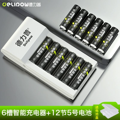 Delipu No. 5 Rechargeable Hibrid akkumulyator batareyaları - 601-charger-no-5-2700mah-12-sections