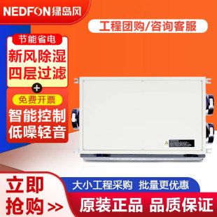 Green Island Wind Fadh-D250-28L Fresh Air Dehumidifier House Basement Household Dehumidifier Commercial Ventilator