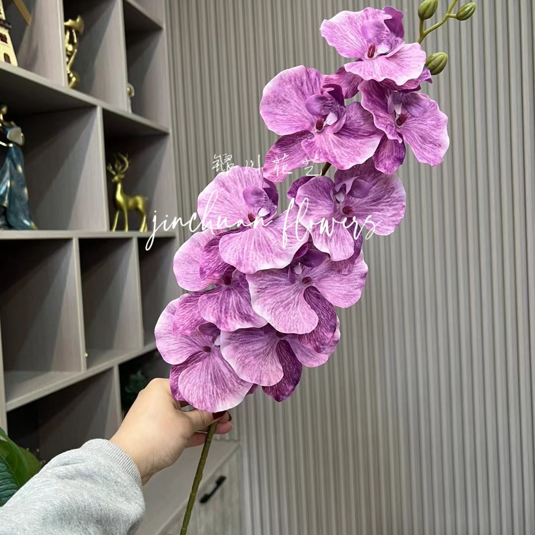 보라색