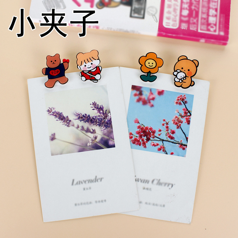 Cute acrylic plastic cartoon photo, storage system, classification