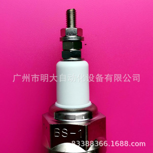 Liquid Level Retainer, High Temperature Resistant Boiler, Electrode Probe, Water Level Control, Single Pole Retainer, Liquid Level Meter, Probe Bs-1