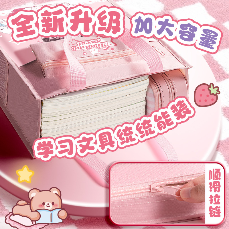 Bolso de mano, bolso de tutoría, bolso de tutoría para estudiantes de escuela primaria, bolso de tutoría para niñas, bolso para libros, niño, estudiantes de secundaria, niños